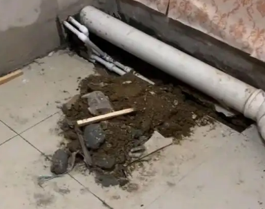 大宁卫生间漏水检测哪家好